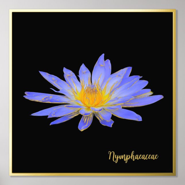 Pétrole Accent Water Lily Design Imprimer Poster A (Recto)
