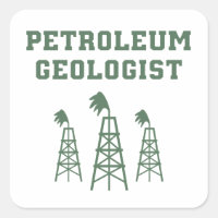 Petroleum Geologist