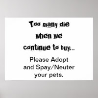 Pets Adopt Spay Neuter Pet Overpopulation