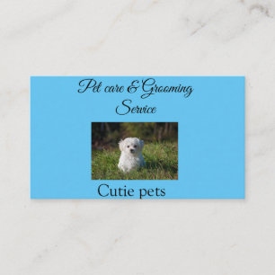 Pets care grooming service add name address text business card