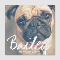 Pet's Christmas Simple Happy Holiday Greeting Card