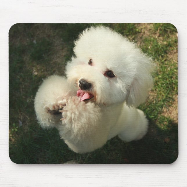 Pets, Dog, Poodle Mouse Pad (Front)