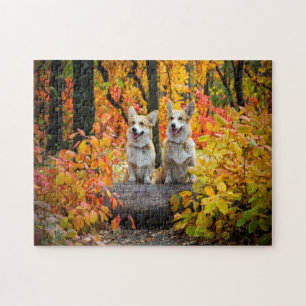 pets dogs jigsaw puzzle