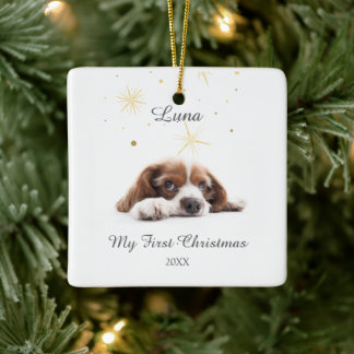 Pet's First Christmas In Forever Home Modern Ceramic Ornament