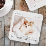 Pet's First Christmas In Forever Home Modern Chic Coaster<br><div class="desc">Design is composed of modern chic typography with sans serif and serif font. Add a custom photo of adopted pet and year.</div>