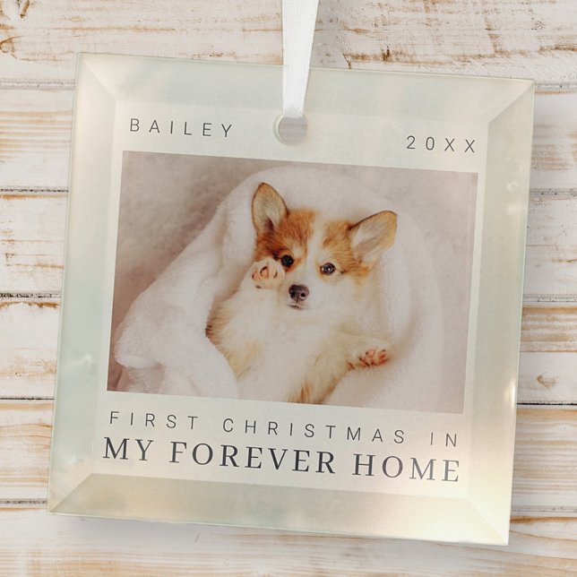 Pet's First Christmas In Forever Home Modern Chic Glass Ornament (Creator Uploaded)