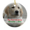 Pet's First Christmas Personalized Photo Template