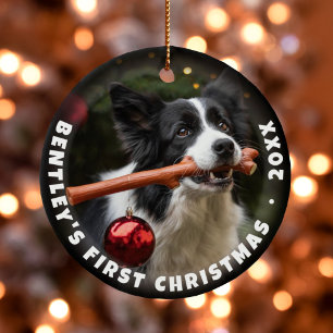 Pet's First Christmas Photo Forever Home Ceramic Ornament