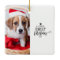 Pet's First Christmas Photo Holiday