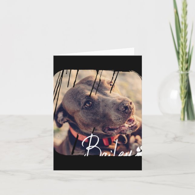 Pets Modern Simple Cool Nge Name And Photo T Shirt Card (Front)