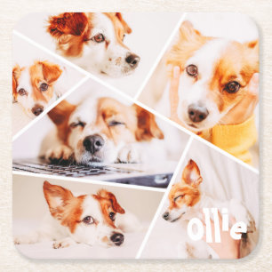 Pets Modern Simple Custom 6 Images Collage Photo Square Paper Coaster
