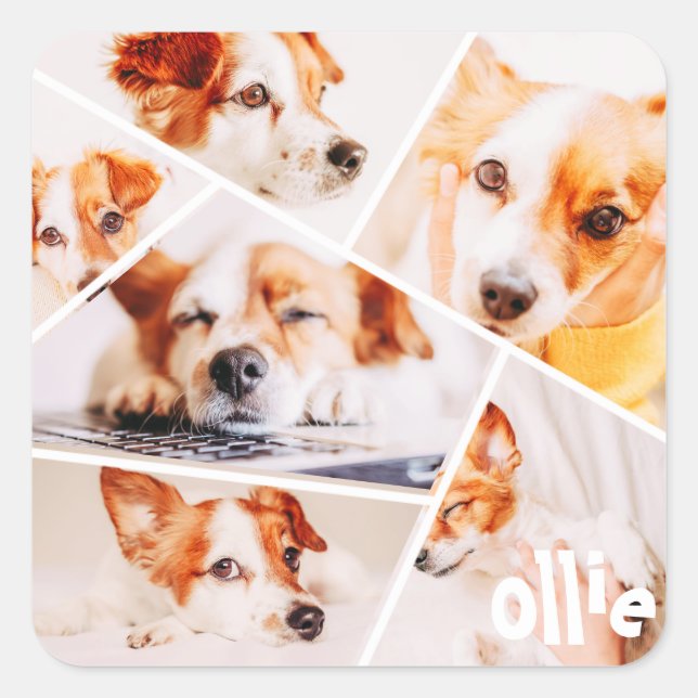 Pets Modern Simple Custom 6 Images Collage Photo Square Sticker (Front)