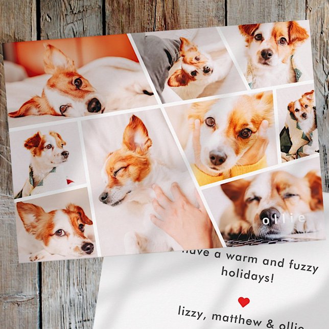 Pets Modern Simple Custom 9 Images Collage Photo Holiday Card (Creator Uploaded)