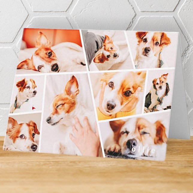 Pets Modern Simple Custom 9 Images Collage Photo Note Card (Creator Uploaded)