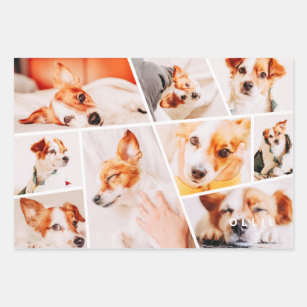 Pets Modern Simple Custom 9 Photos Collage Wrapping Paper Sheet