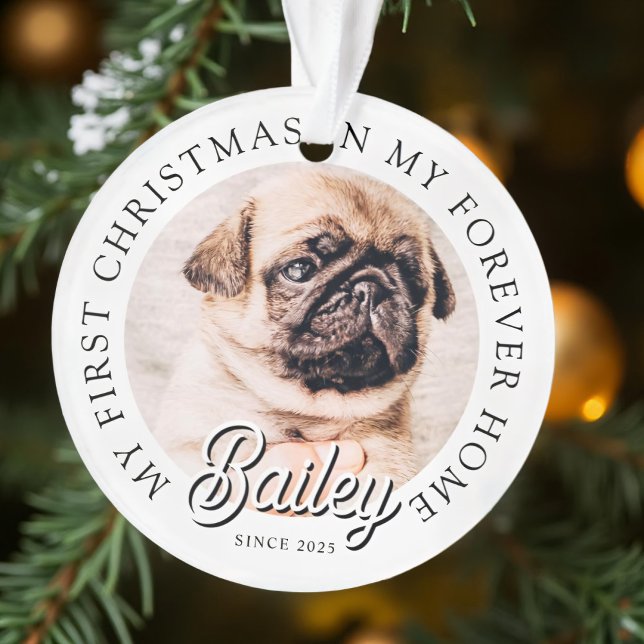 Pet's My First Christmas In Forever Home Modern (Créateur téléchargé)