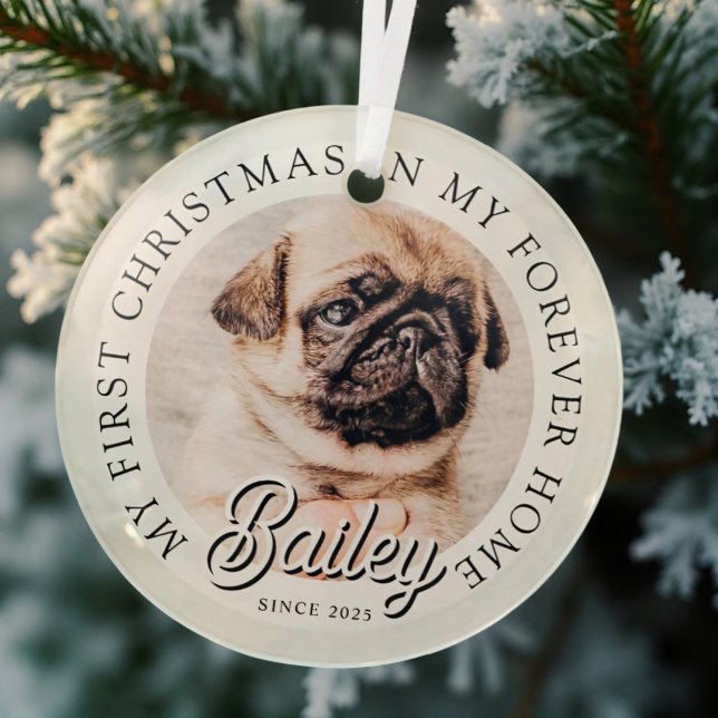 Pet's My First Christmas In Forever Home Modern Glass Ornament (Creator Uploaded)