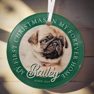 Pet's My First Christmas In Forever Home Modern Glass Ornament