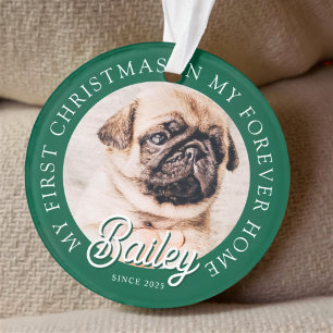 Pet's My First Christmas In Forever Home Modern Ornament