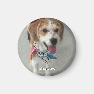 Pet's Photo or Child's Photo & Name Magnet