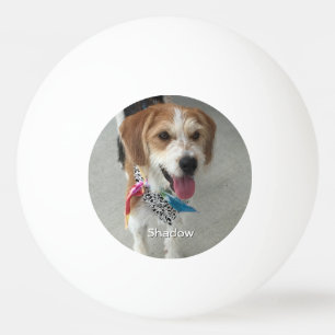 Pet's Photo or Child's Photo & Name Ping Pong Ball