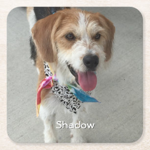 Pet's Photo or Child's Photo & Name Square Paper Coaster