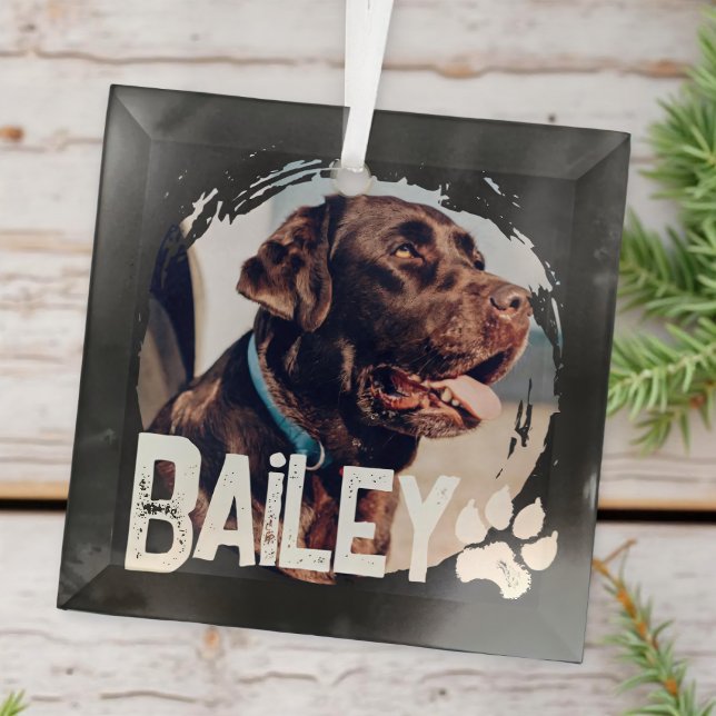 Pet's Simple Modern Cool Grunge Name and Photo Glass Ornament (Creator Uploaded)