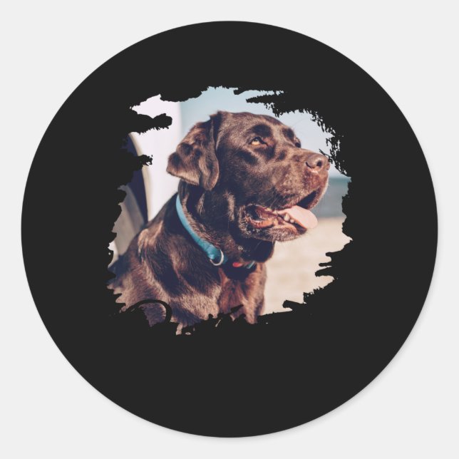 Pets Simple Modern Cool Tygraphy Name And Photo  Classic Round Sticker (Front)