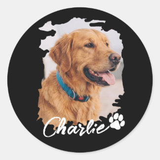 Pet's Simple Modern Cool Typography Name and Photo Classic Round Sticker