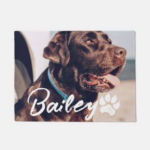 Pet's Simple Modern Cool Typography Name and Photo Doormat