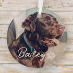 Pet's Simple Modern Cool Typography Name and Photo Glass Ornament<br><div class="desc">This simple and modern design is composed of modern simple playful script typography. Add custom pet photo.</div>