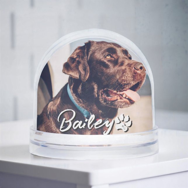 Pet's Simple Modern Cool Typography Name and Photo Snowglobe (Creator Uploaded)