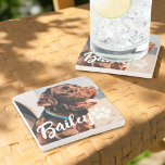 Pet's Simple Modern Cool Typography Name and Photo Stone Coaster<br><div class="desc">This simple and modern design is composed of modern simple playful script typography. Add custom pet photo.</div>