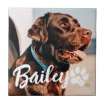 Pet's Simple Modern Cool Typography Name and Photo Tile<br><div class="desc">This simple and modern design is composed of modern simple playful script typography. Add custom pet photo.</div>