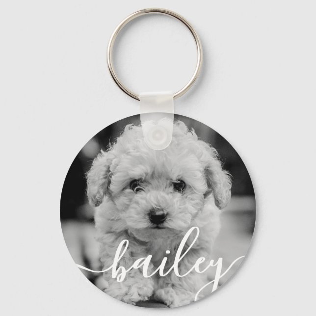 Pet's Simple Modern Elegant Chic Name and Photo Keychain (Front)