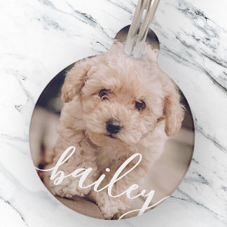 Pet's Simple Modern Elegant Chic Name and Photo Pet Tag