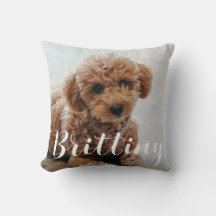 Pet's Simple Modern Elegant Chic Name and Photo Th
