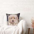 Pet's Simple Modern Elegant Chic Name and Photo