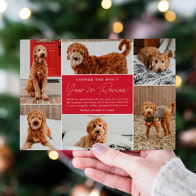 Pet's Year In Review Red Photo Collage Holiday Card (Creator Uploaded)