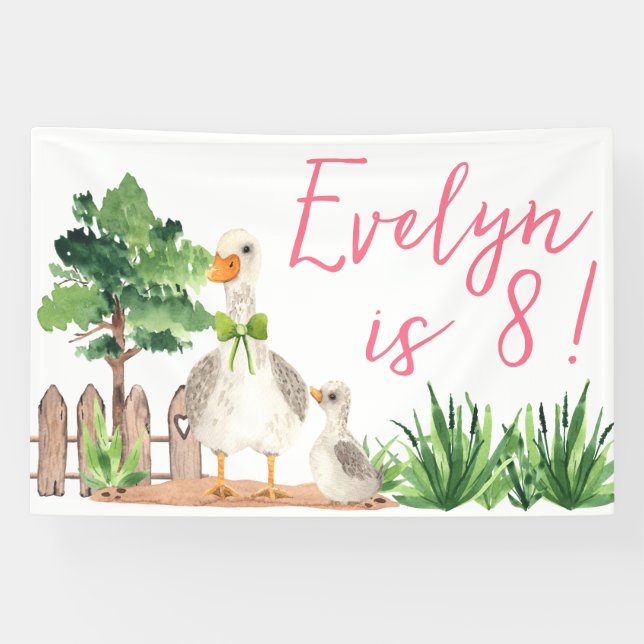 Petting Zoo Birthday Part Banner | Duck Version (Horizontal)