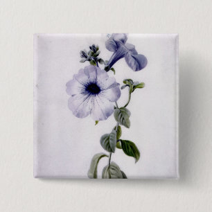 Petunia 2 Inch Square Button