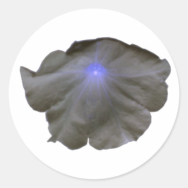 Petunia Black and Blue Stickers (Front)