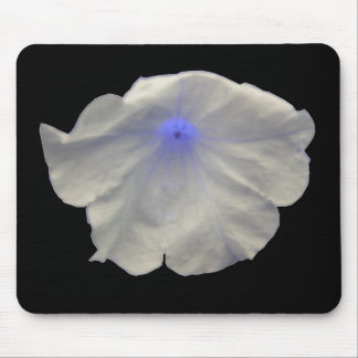 Petunia Blue Glow Mousepad