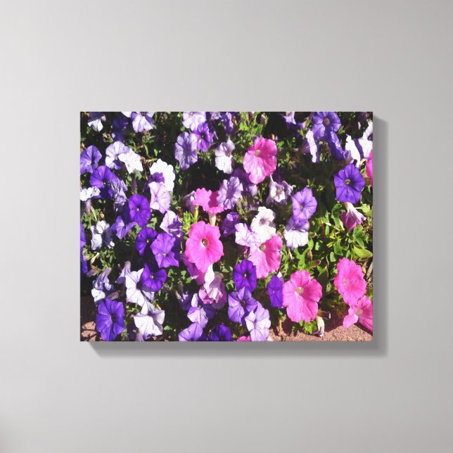 Petunia Flower Patch Canvas Print (Front)