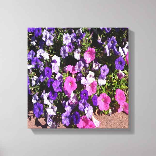 Petunia Flower Patch Canvas Print (Front)