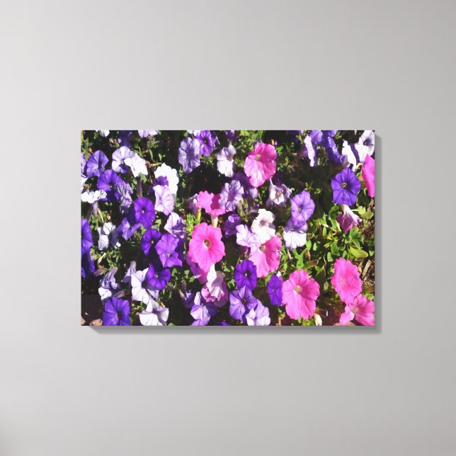 Petunia Flower Patch Canvas Print (Front)