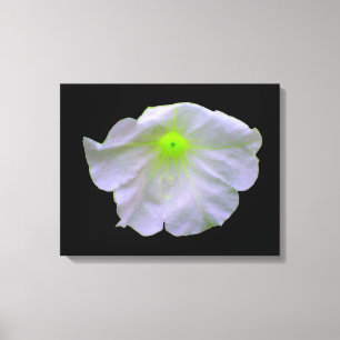 Petunia Green Glow Canvas Print