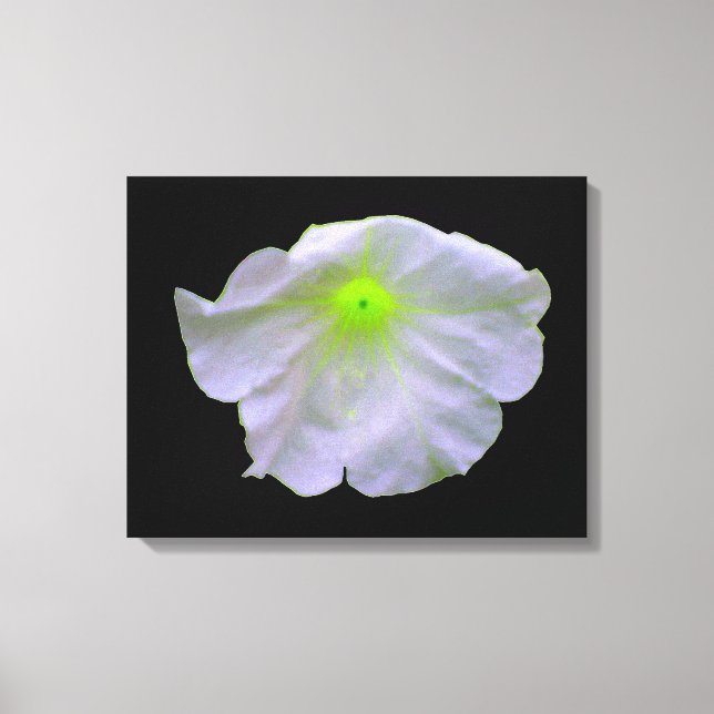 Petunia Green Glow Canvas Print (Front)