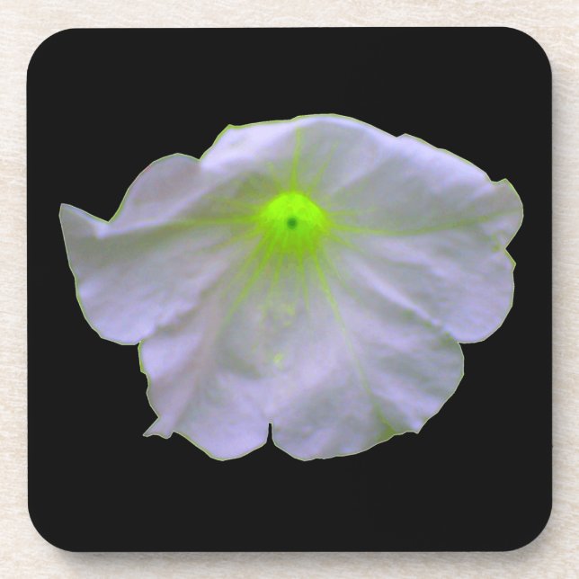 Petunia Green Glow Cork Coaster (Front)