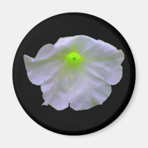 Petunia Green Glow Magnet